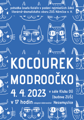 Modroocko